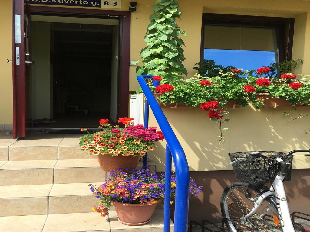 Apartamentai Viktorija Nido Extérieur photo